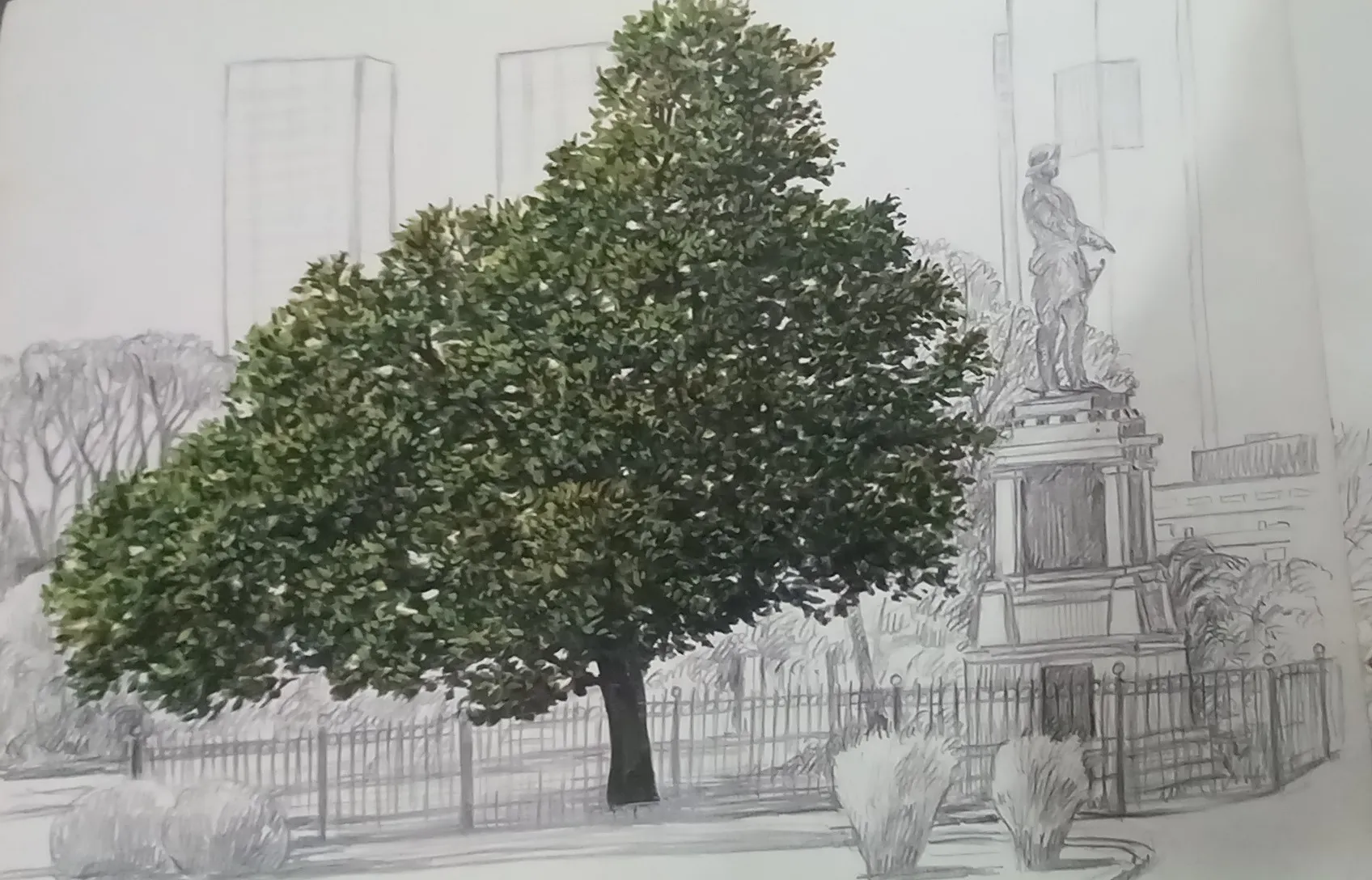 Arboles históricos argentinos. La imperiosa necesidad de revalorizarlos 
