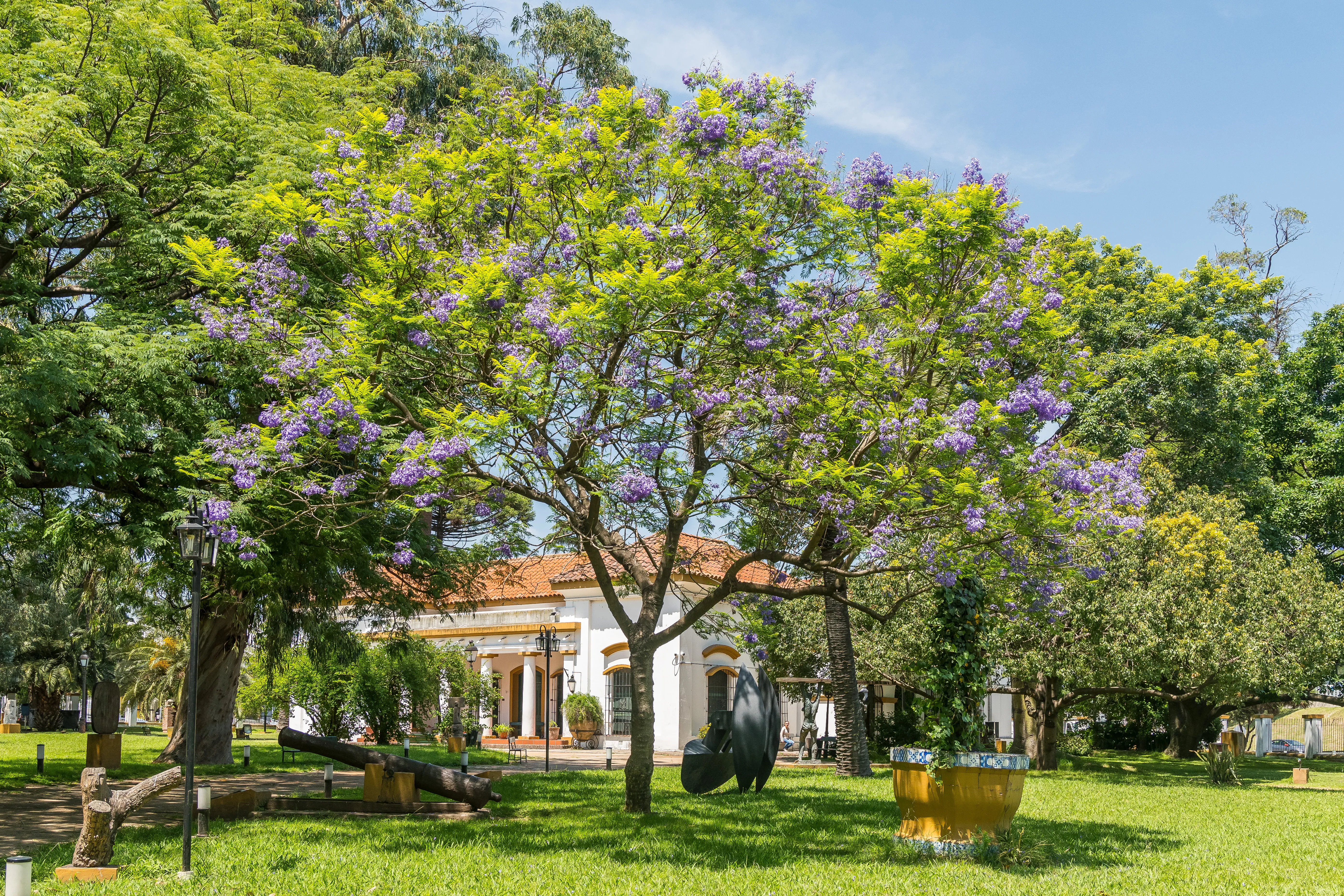 El Museo Saavedra abre sus jardines para recibir la primavera