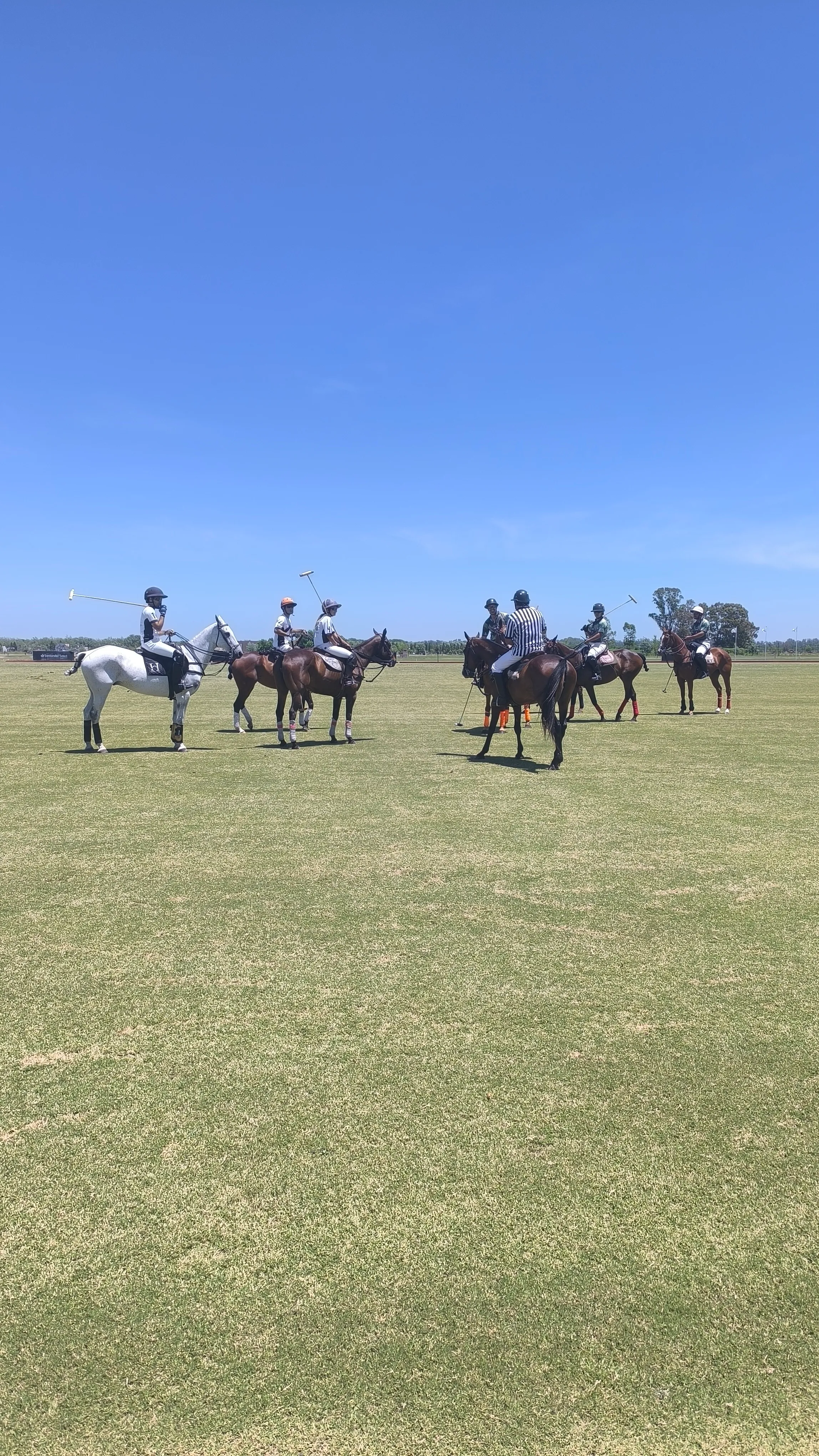 Polo day en Haras del Sur