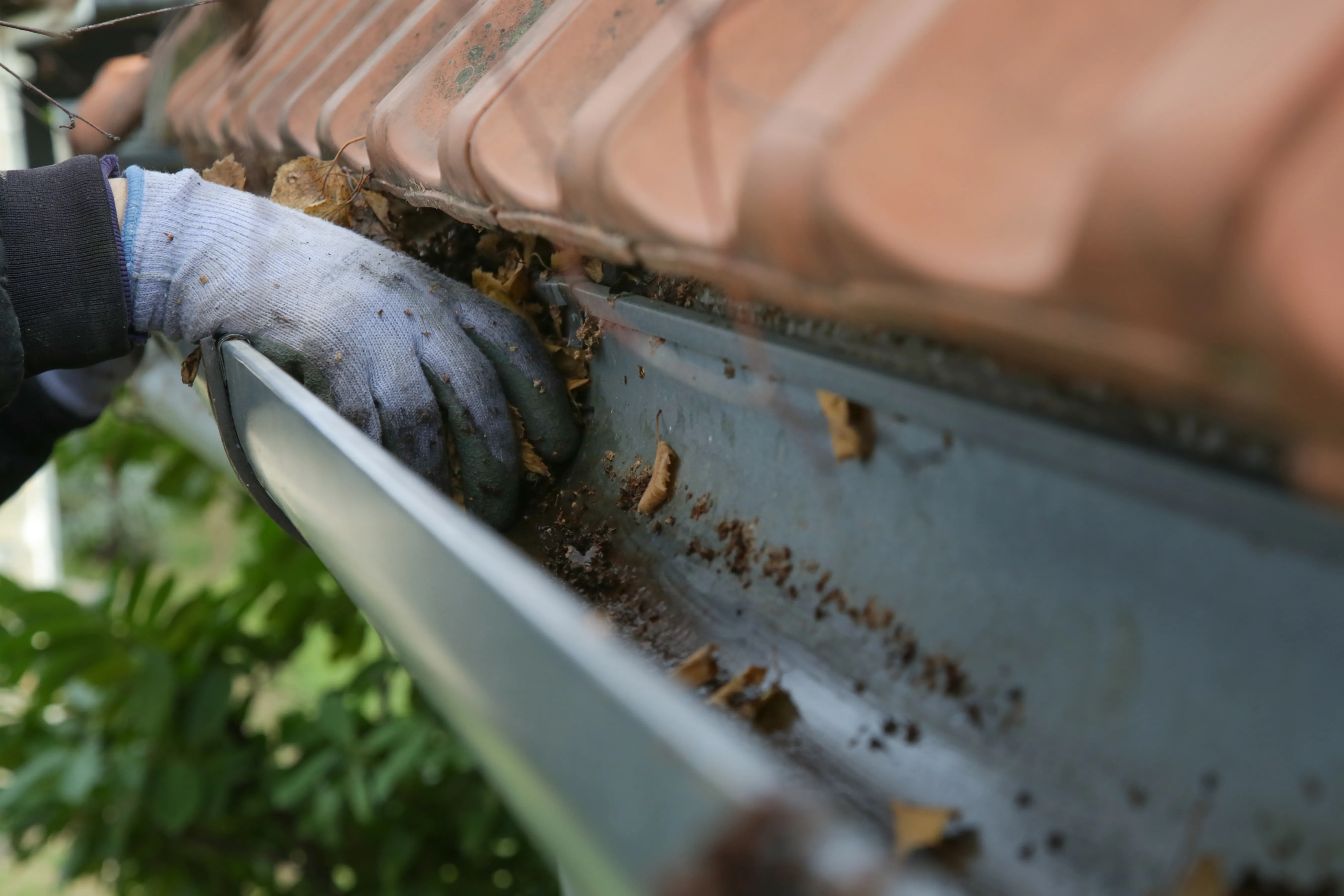 Llegó el otoño y Amanco Wavin comparte 7 consejos para limpiar las canaletas
