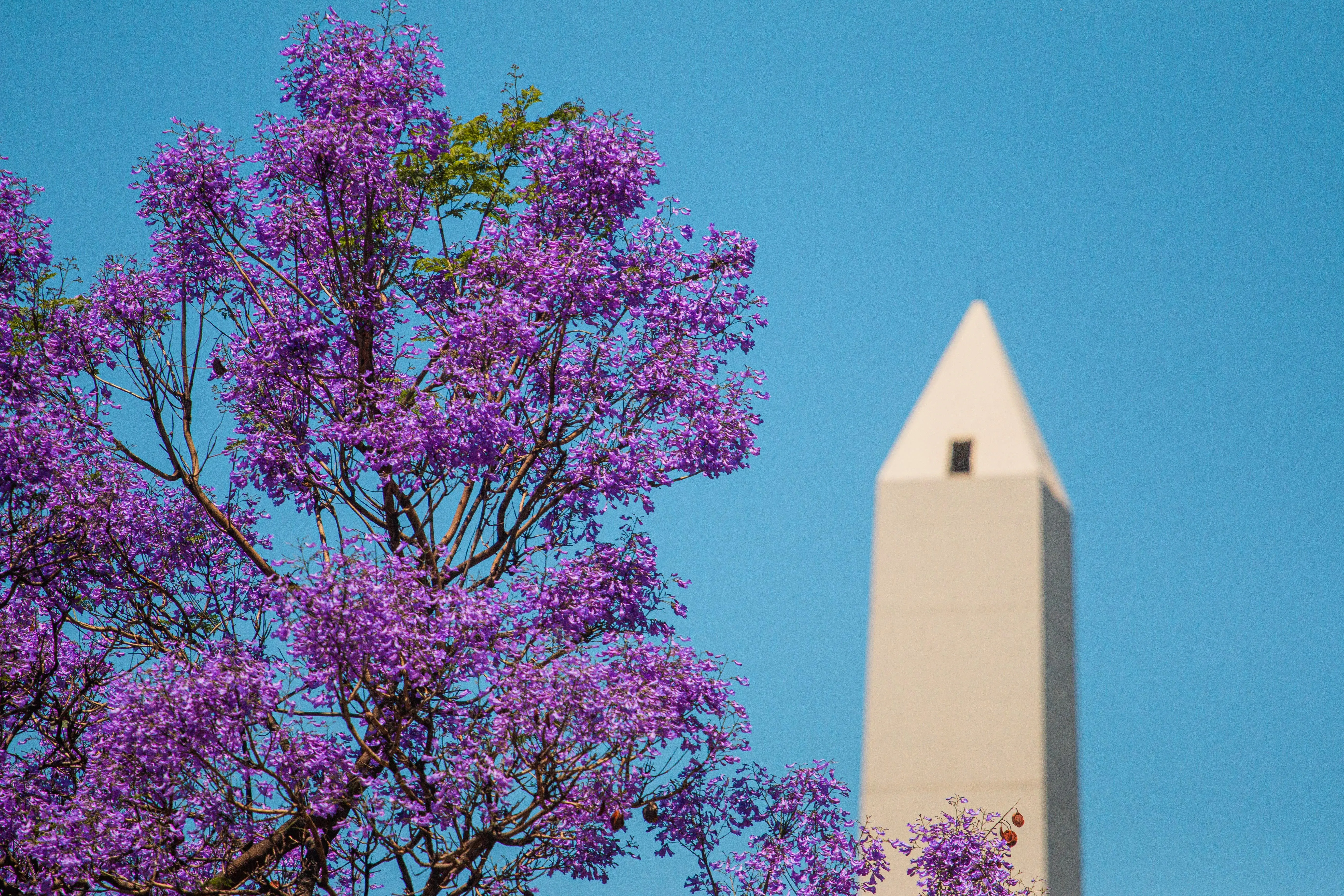 Vecinos y turistas disfrutarán de los festejos por el aniversario del Obelisco en la Ciudad de Buenos Aires