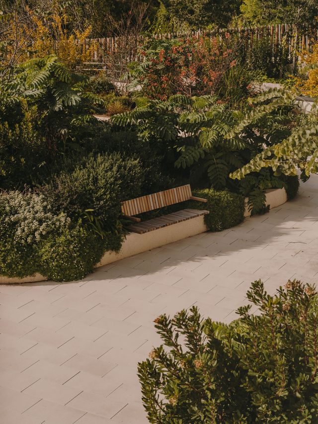 Miriam Castells Studio convierte una residencia para mayores en Collserola en un hogar donde el diseño cuida - Imagen 13