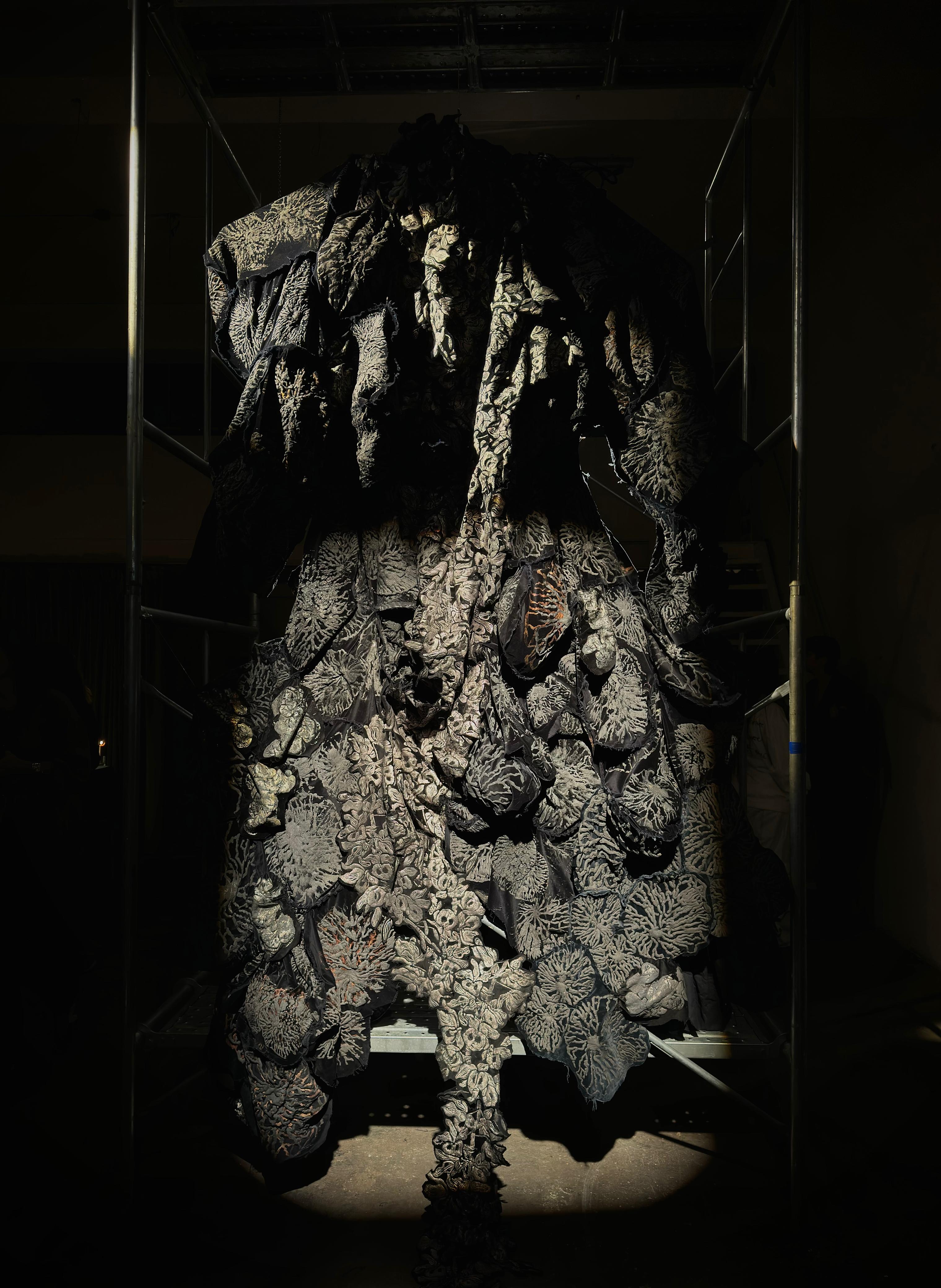 Metamorfosis del jardín: una exposición transforma el Centro Cultural MATTA en un territorio vivo  - Imagen 2