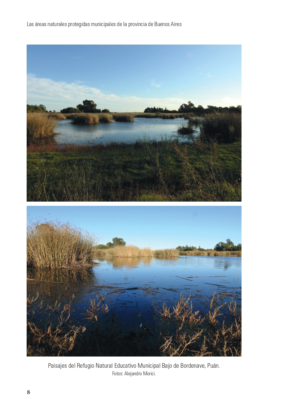 36 de los 135 municipios bonaerenses cuentan con una reserva natural municipal - Imagen 1