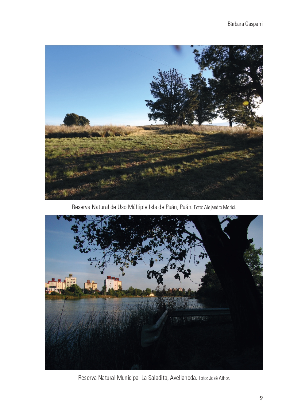 36 de los 135 municipios bonaerenses cuentan con una reserva natural municipal - Imagen 2