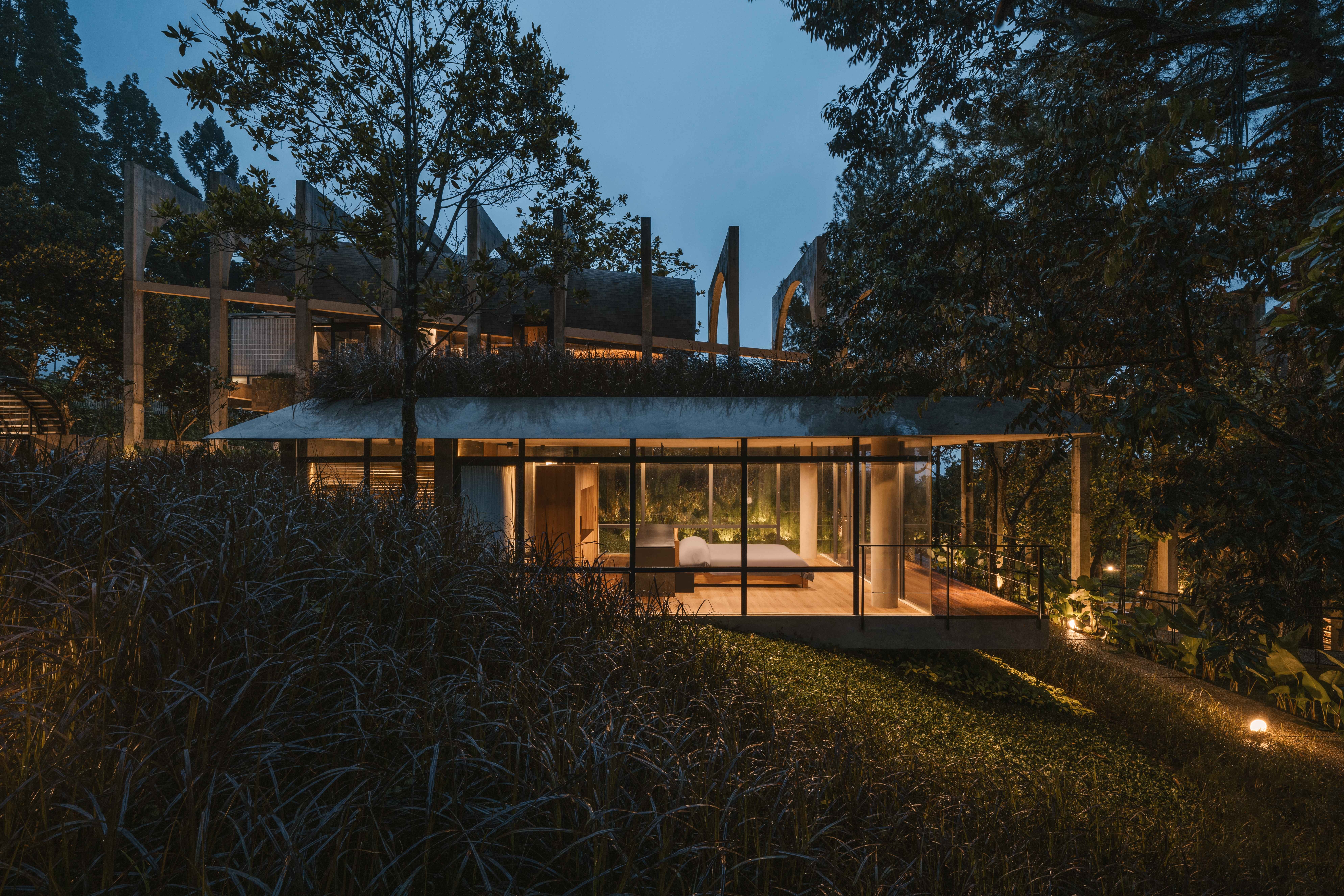 Six AMP 2025 Awardees | Works That Expand What Architecture Can Do | Sanctuary Tunnel Garden - Imagen 4