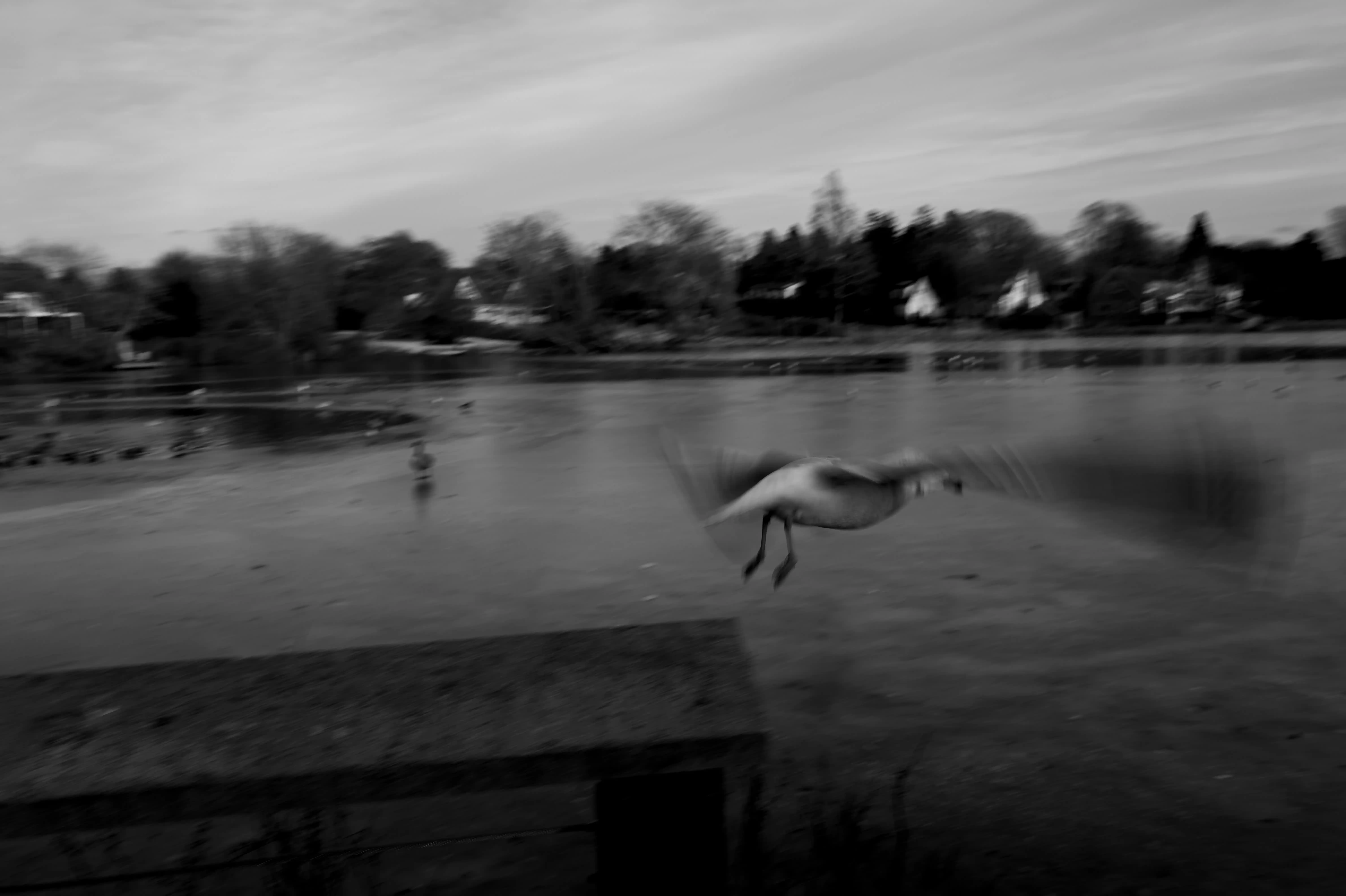 Barrakesh Espacio Cultural presentó "Off Season: Wind Full of Space" de Federico Rabinovich en Pueblo Garzón - Imagen 3