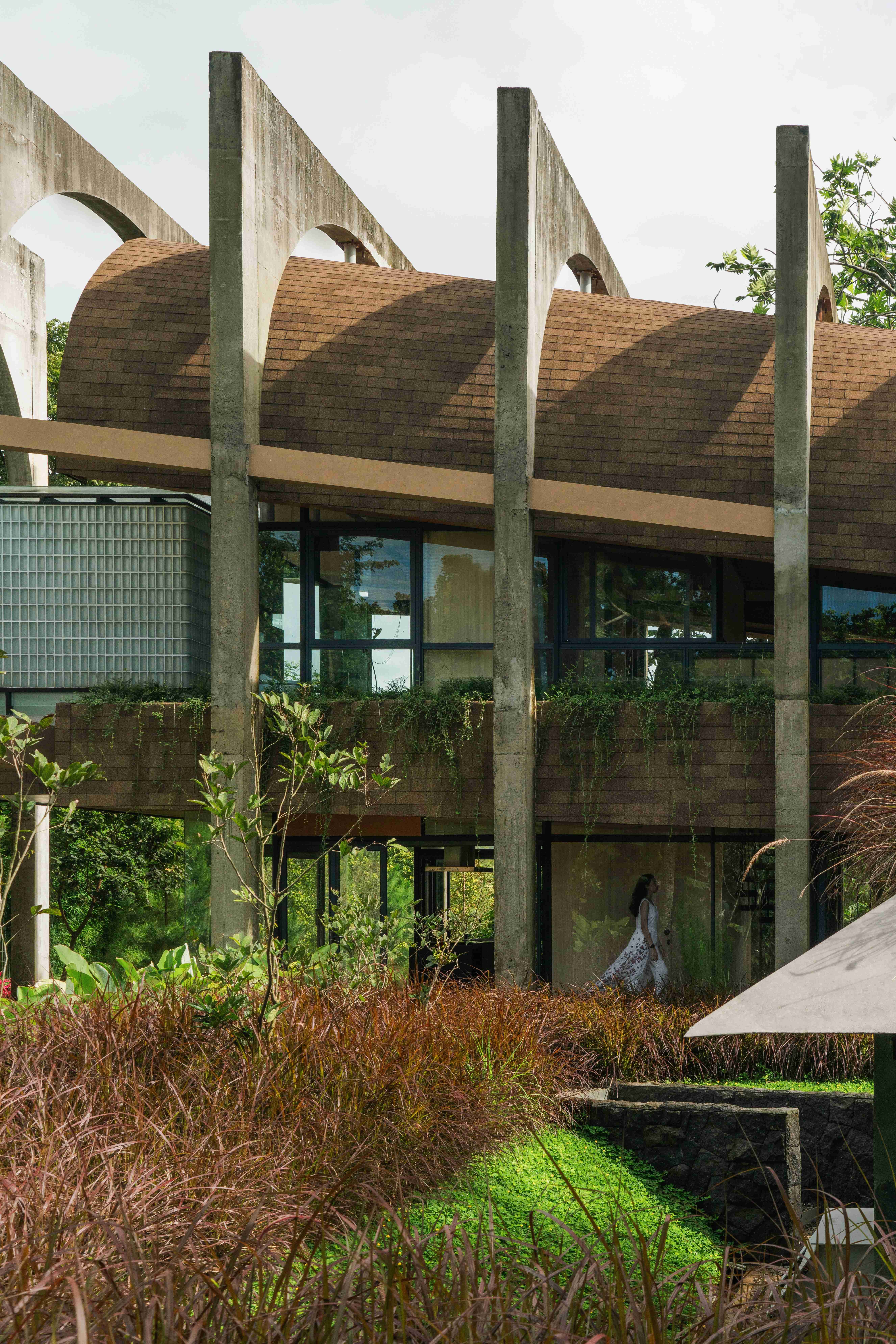 Six AMP 2025 Awardees | Works That Expand What Architecture Can Do | Sanctuary Tunnel Garden - Imagen 5