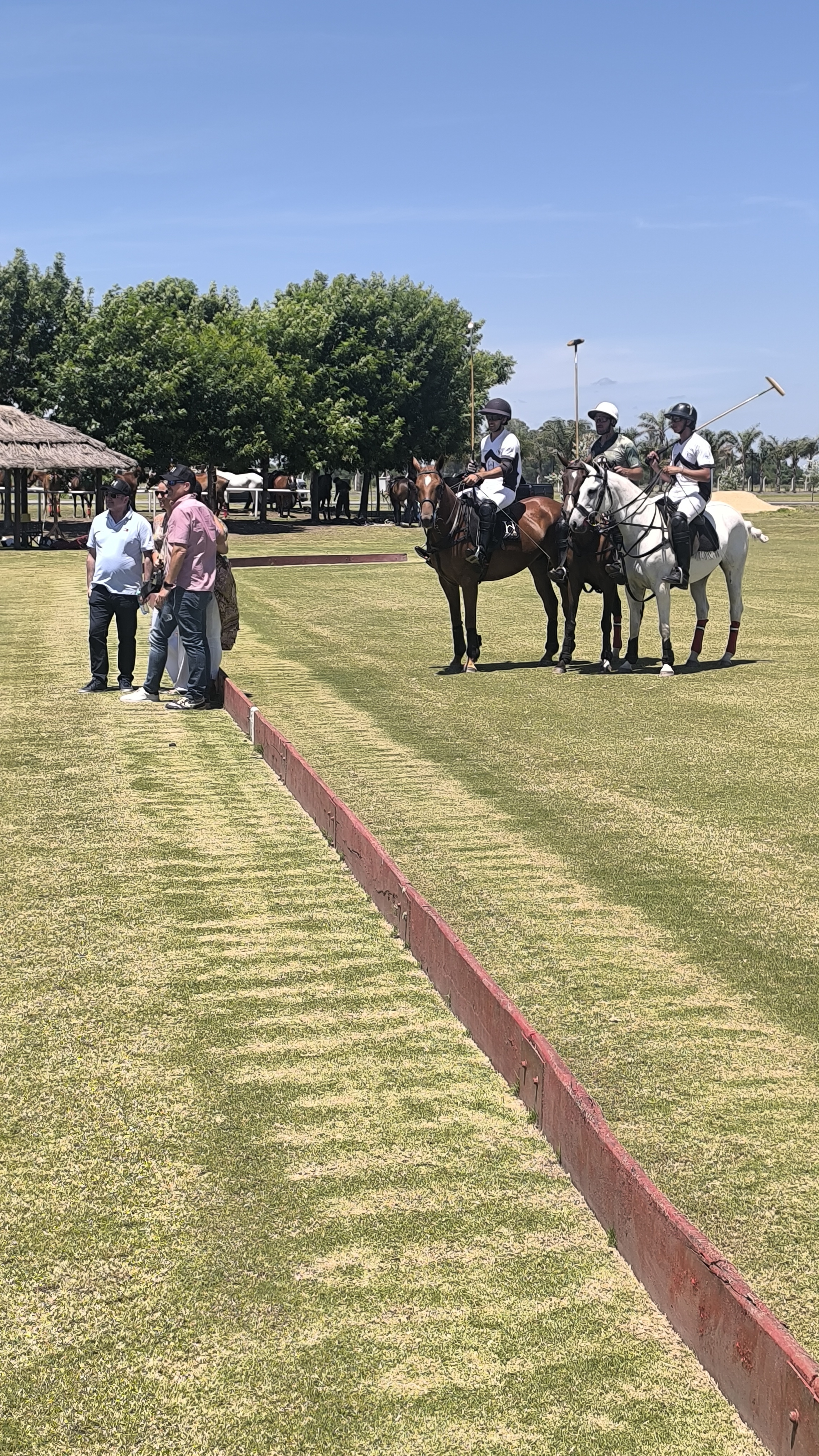 Polo day en Haras del Sur - Imagen 6