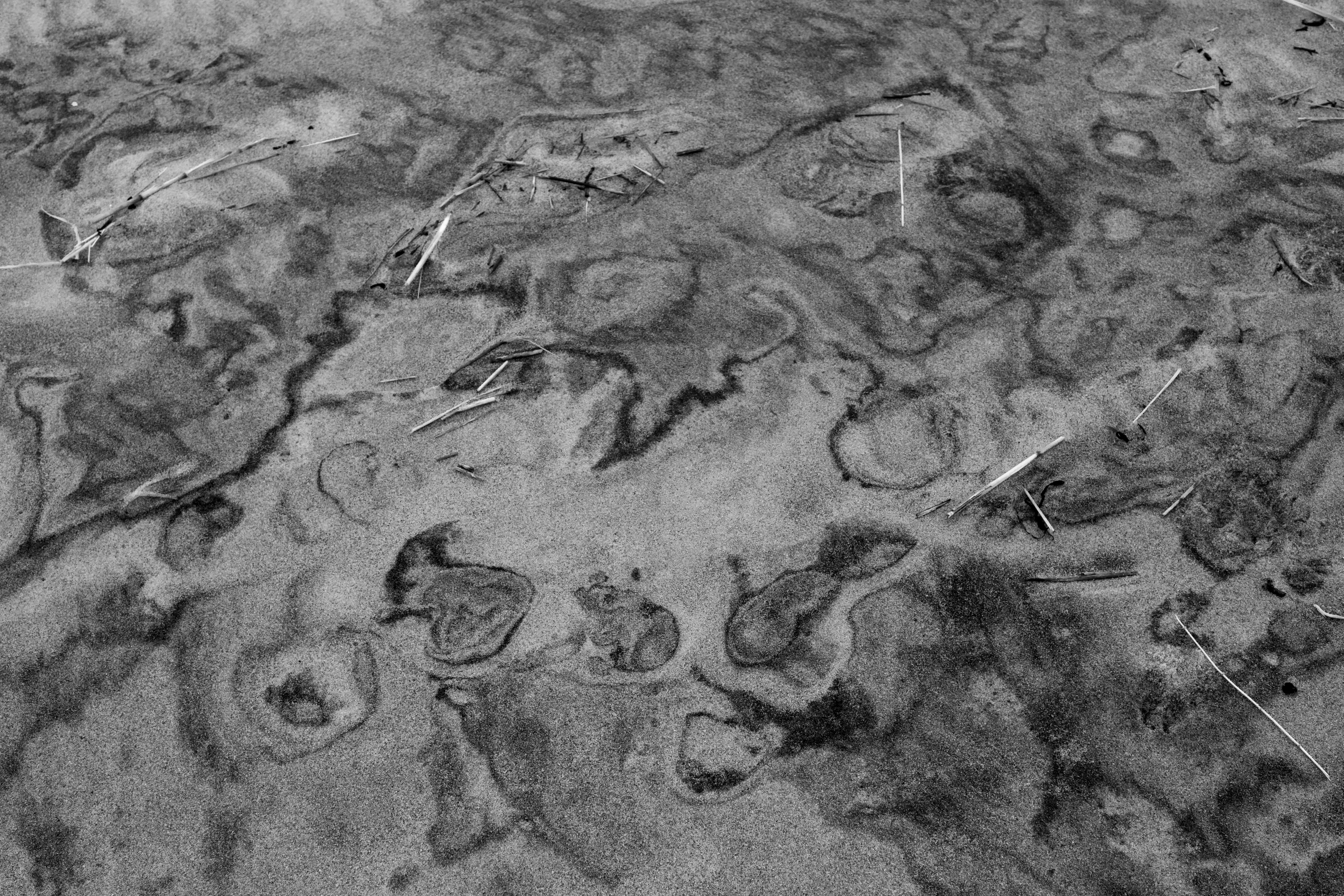 Barrakesh Espacio Cultural presentó "Off Season: Wind Full of Space" de Federico Rabinovich en Pueblo Garzón - Imagen 6