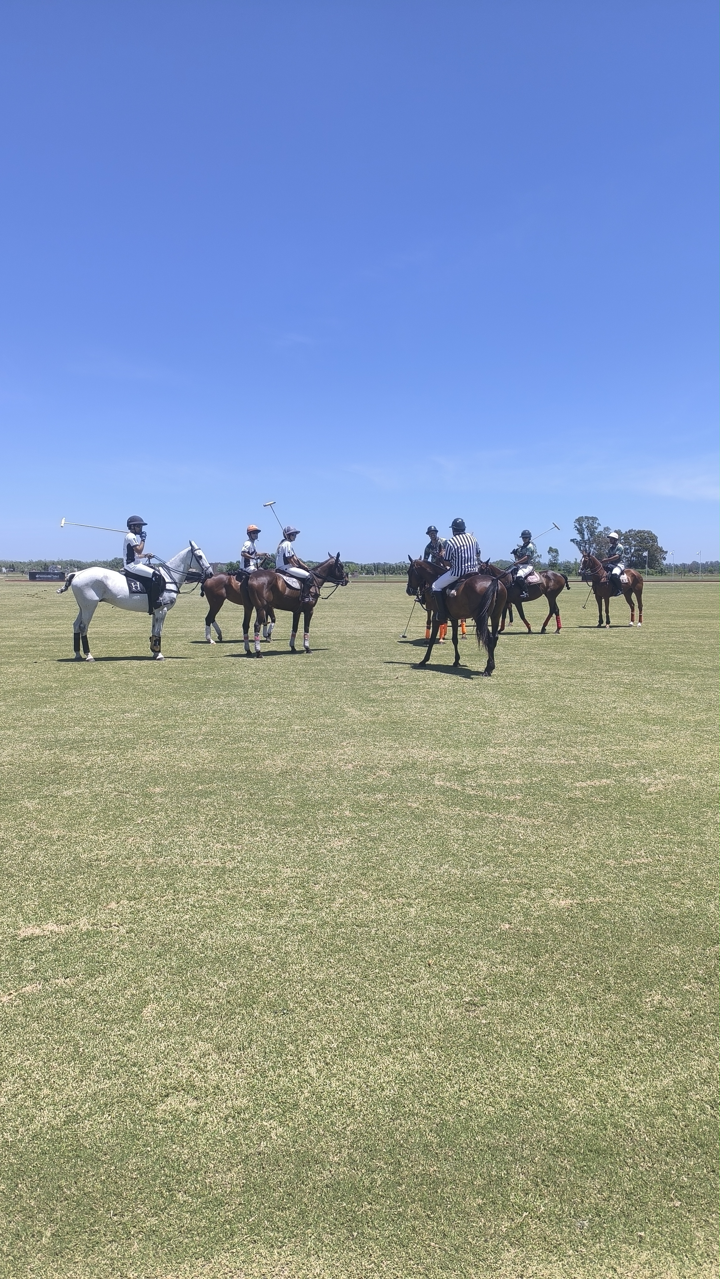 Polo day en Haras del Sur