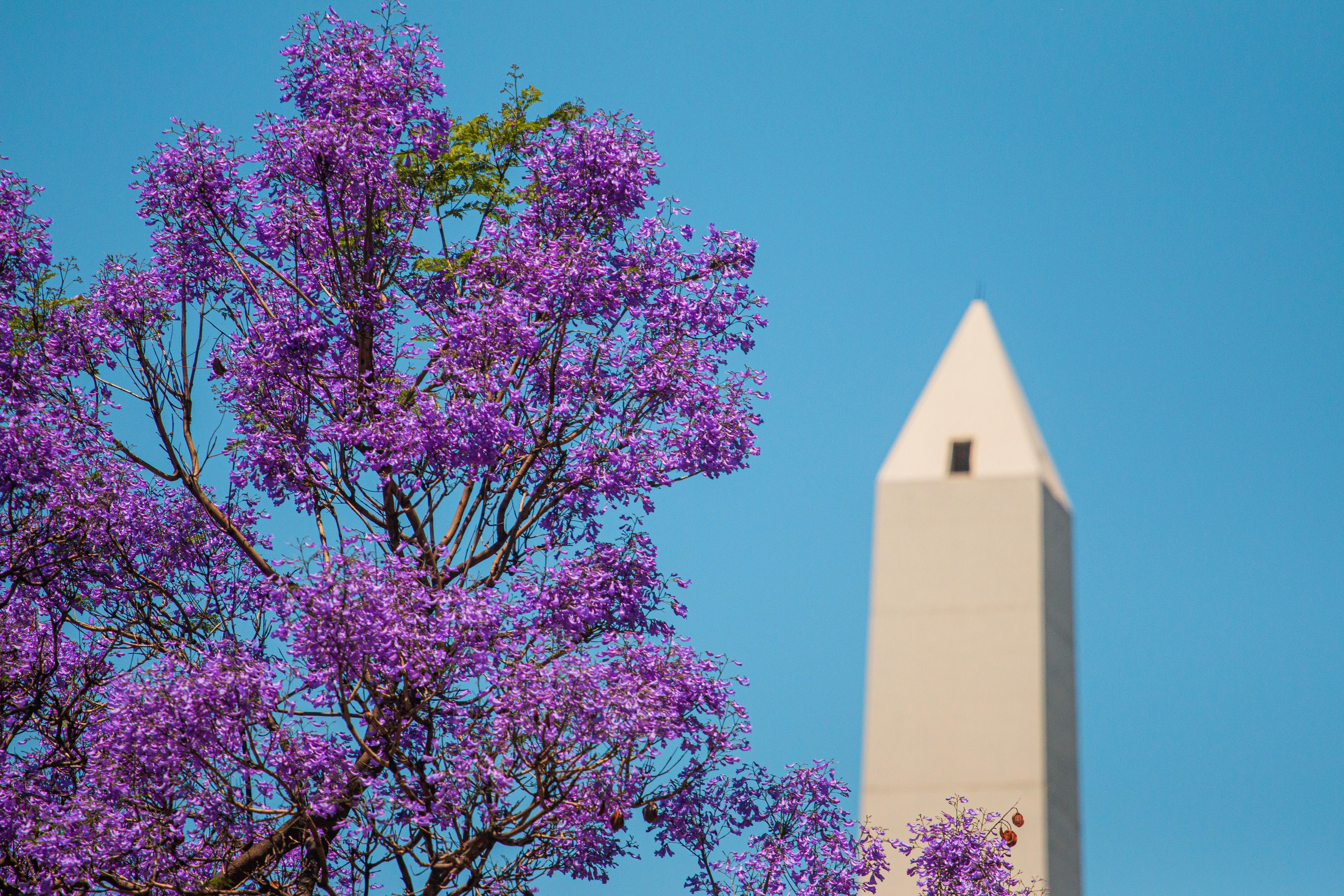 Vecinos y turistas disfrutarán de los festejos por el aniversario del Obelisco en la Ciudad de Buenos Aires